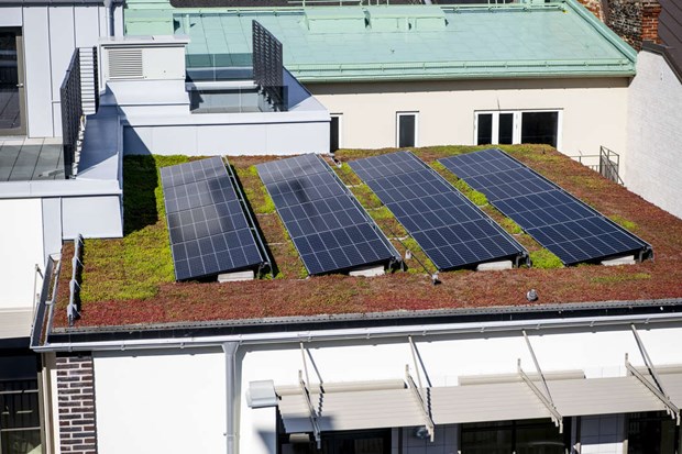Beställde solceller men fick aldrig någon leverans 