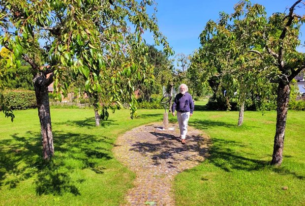 Drömmer om skulpturer i bortglömd park Drömmer om skulpturer i bortglömd park