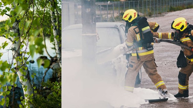 Potentiellt banbrytande forskning testas i Laholm 