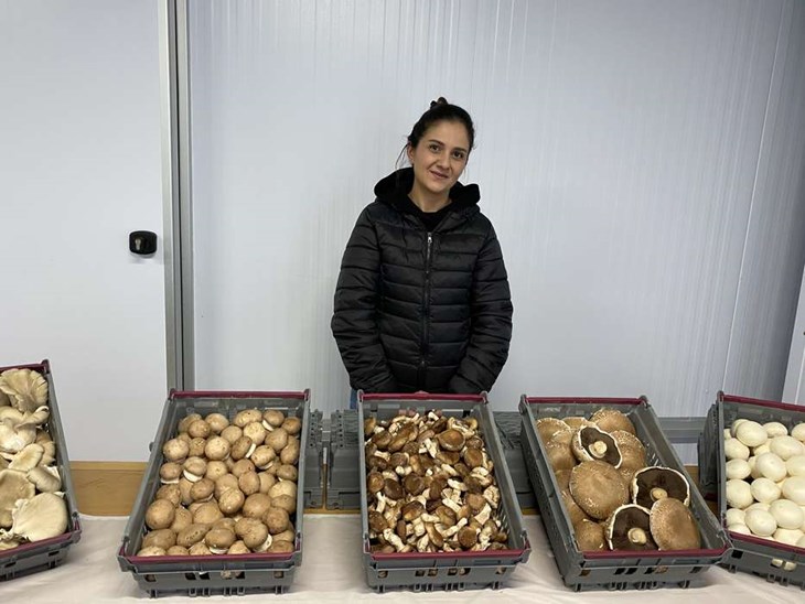 Izabelle och hennes man Teyyar Zarg köpte den gamla pelletsfabriken i Traryd för två år sedan och startade en svampodling. De odlar nu ostronskivling, kastanjechampinjon, shiitake, portabello och vanlig champinjon. Foto: Carina Nilsson
