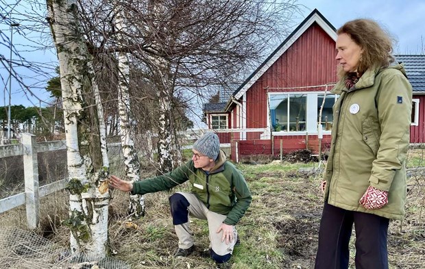 Par vill se sänkt hastighet efter flera olyckor