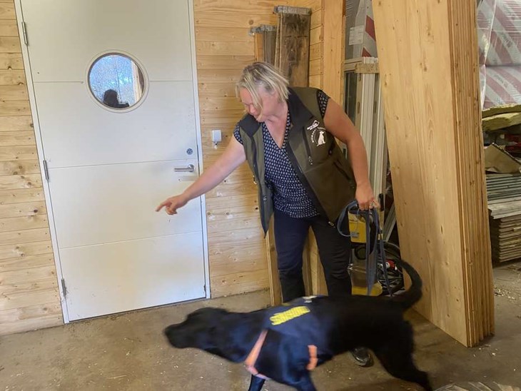 Zita har väldigt stor arbetslust. "Det är en bra förutsättning för att jobba som sökhund" konstaterar Syliva Hillmann. Foto: Carina Nilsson