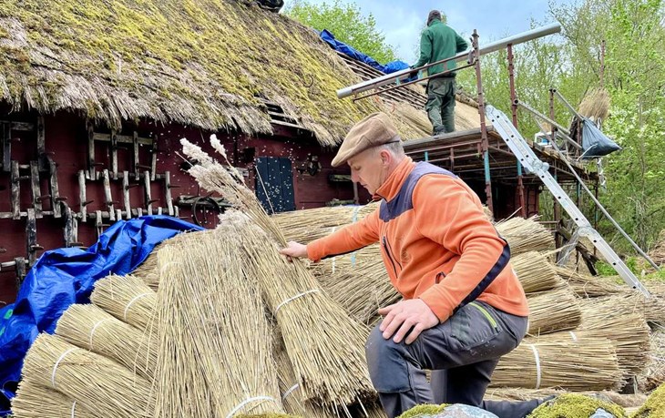 Stråtäckare Janis Pucitis är fostrad av Sten i Stenahiet i Hjörnered. Han visar med van hand hur arbetet går till. Foto: Johan Jönsson