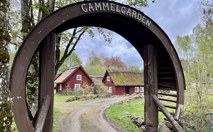 Gammelgården med anor från 1700-talet kräver omvårdnad och det kostar pengar att lägga om stråtaket. Foto: Johan Jönsson