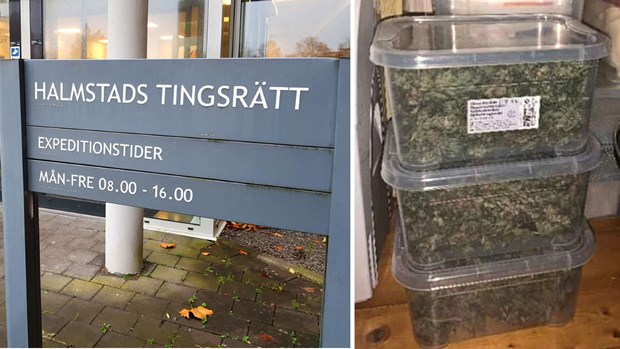 Cannabisodlare i Skogaby d�ms till f�ngelse