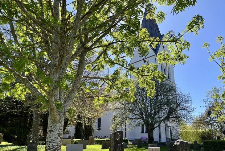 Harplinge kyrka ligger vackert beläget inklädd i lummig grönska. Foto: Johan Jönsson