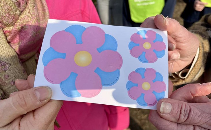 Att årets majblomma varit tilltalande tros ha hjälpt till i försäljningen. Foto: Johan Jönsson