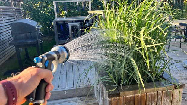 Nu råder bevattningsförbud – läget är extremt