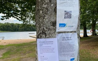 Parasit stoppar simskola i Glänninge sjö