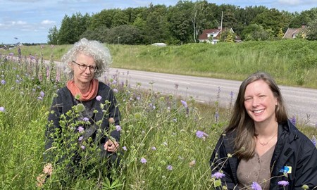 Naturens vackra värstingar ger kommunen mer jobb