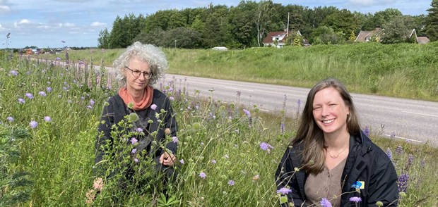 Naturens vackra värstingar ger kommunen mer jobb 