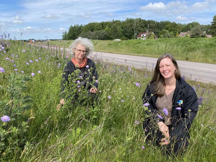 Stadsträdgårdsmästare Anne van Hirtum och kommunekolog Rebecka Thise enas om att arbetet med att bekämpa invasiva arter är som att städa, det måste göras om och om igen. Foto: Carina Nilsson