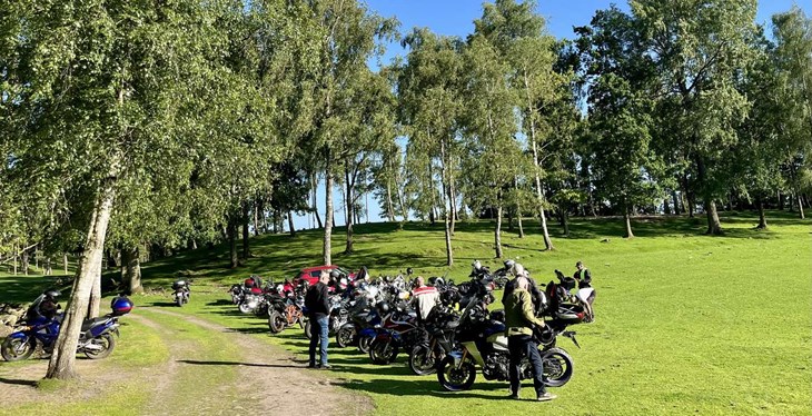 Old knutters på Ahlamossens vilthägn. Foto: Johan Jönsson