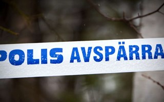 Inbrott: Tjuvar körde genom tre garageportar