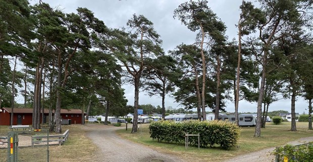 Här växer det – nytt bostadsområde och större camping 