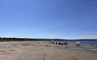 Kvinna avled efter drunkningsolycka i Mellbystrand