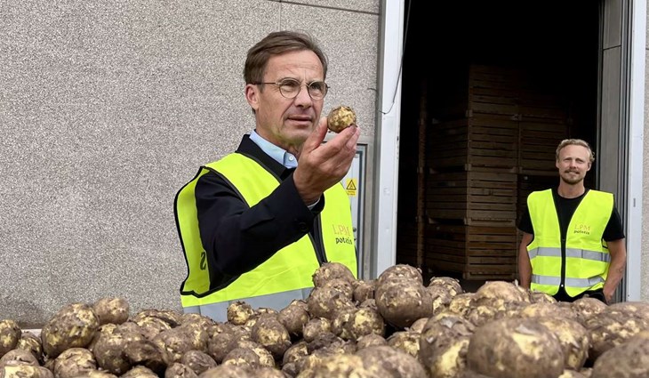 "Så här mycket poatis har jag inte sett på en och samma gång tidigare", säger Ulf Kristersson. Foto: Johan Jönsson