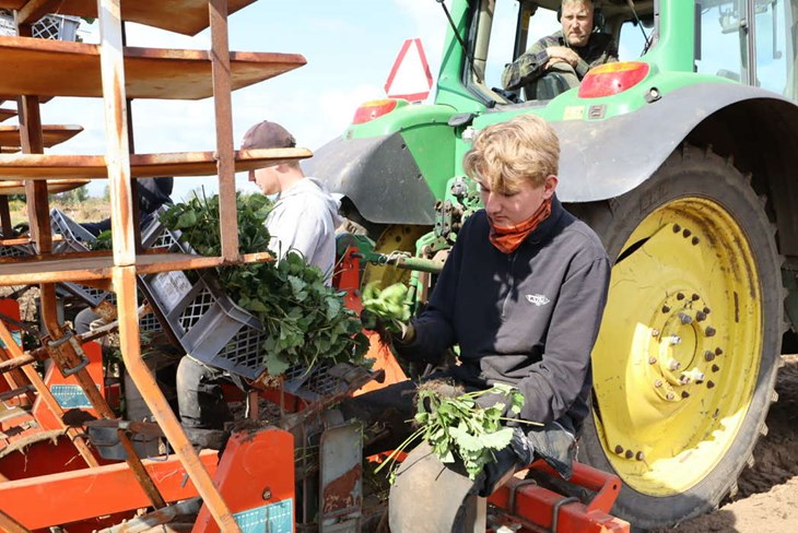 Jonatan Strömberg övervakar planteringen från traktorn. Foto: Elin Strömberg