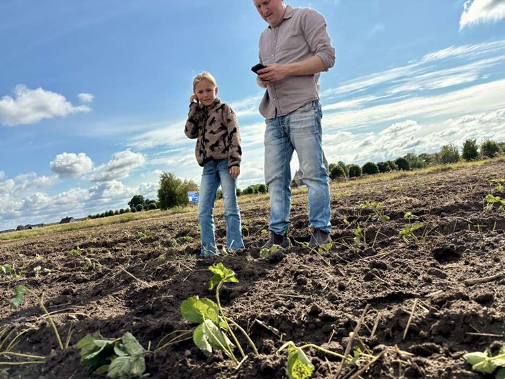Här ska gubbarna lysa röda sommaren 2027. Foto: Johan Jönsson