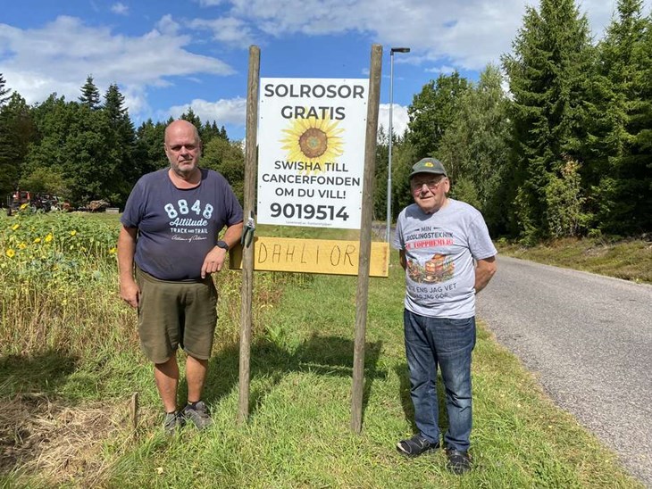 Rune skänker bort solrosorna och de som vill får skänka en slant till Cancerfonden. "Det är mitt sätt att ge tillbaka" säger Rune tillsammans med sin son Mikael Strandberg. 