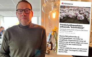 Knäreds Kyckling om kritiken: ”Vi känner inte igen oss”