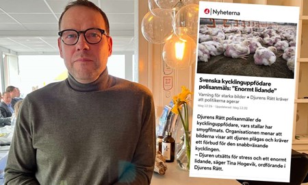 Knäreds Kyckling om kritiken: ”Vi känner inte igen oss”