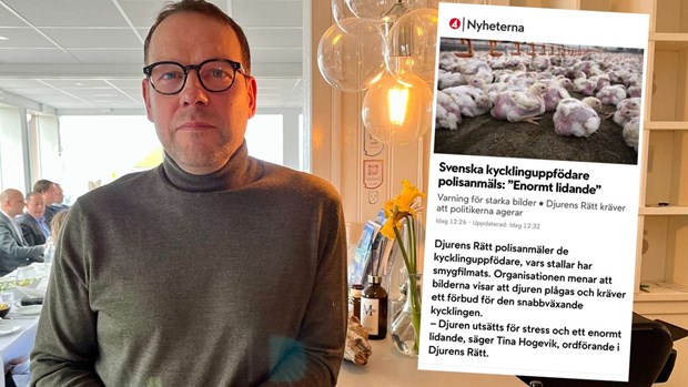 Knäreds Kyckling om kritiken: ”Vi känner inte igen oss” 