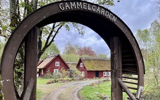 Skattjakt ska få fler att upptäcka Laholms historia