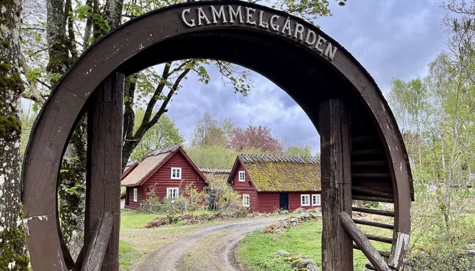 Skattjakt ska få fler att upptäcka Laholms historia