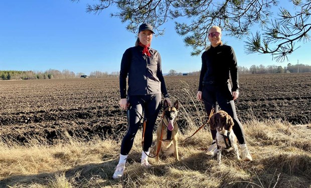 Draghundsloppet i Laholm får en höstuppföljare Draghundsloppet i Laholm får en höstuppföljare