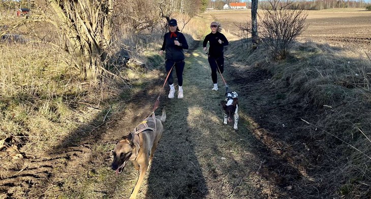 Rebecka Pettersson och Ellen Tengvall med sina hundar Beda och Lessie. Draghundsekipagen är vana löpare ihop. Foto: Johan Jönsson/Arkiv