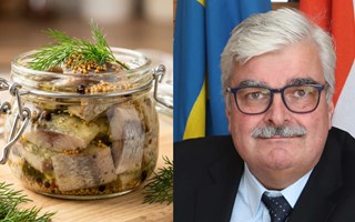 Håkan Juholt tar ”silldiplomatin” till Knäred