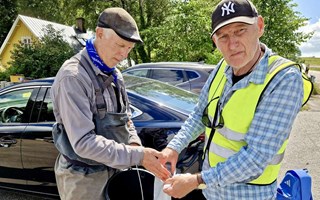 Stark återhämtning i Bölarpsån efter fiskdöden