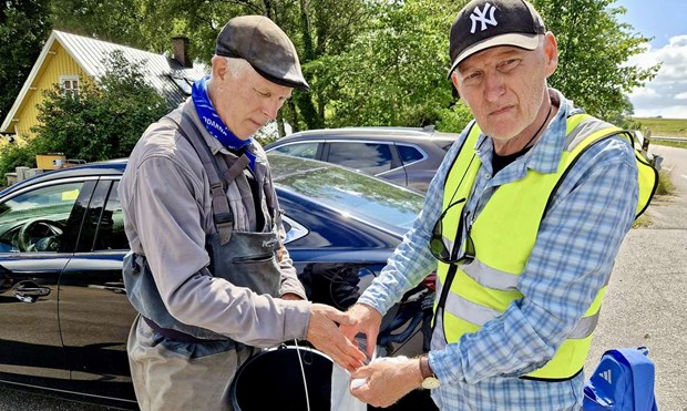 Stark återhämtning i Bölarpsån efter fiskdöden Stark återhämtning i Bölarpsån efter fiskdöden