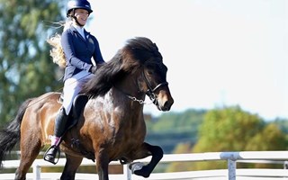 Michelle avslutade med dubbla SM-guld