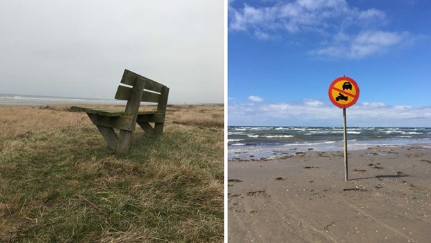 Beslutat: Kommunen köper stranden i Skummeslöv Beslutat: Kommunen köper stranden i Skummeslöv