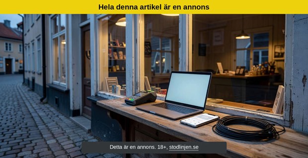 Så digitaliseras Laholms företag och föreningsliv
