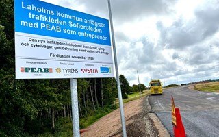 Sofieroleden blöder – slukar ytterligare miljoner