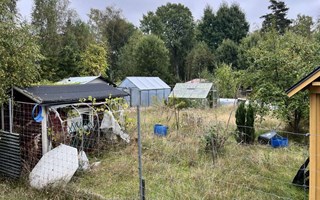 Kommunen vill att koloniområde rivs