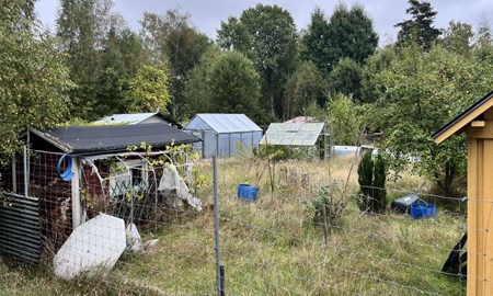 Kommunen vill att koloniområde rivs