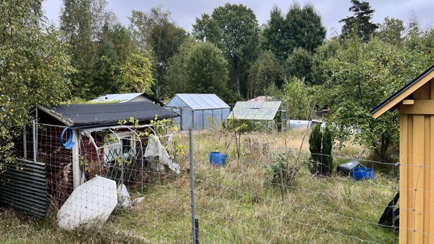 Kommunen vill att koloniområde rivs 