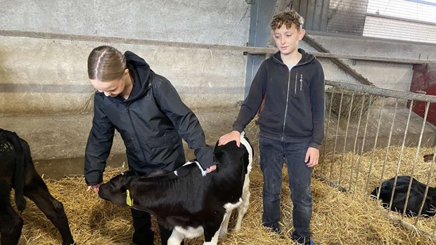 Kalvpussar, minilastare och smarta kor – så fick eleverna möta framtidens lantbruk Kalvpussar, minilastare och smarta kor – så fick eleverna möta framtidens lantbruk