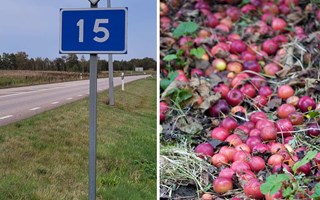 Varning för vilt efter fruktdump vid riksväg