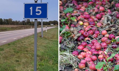 Varning för vilt efter fruktdump vid riksväg
