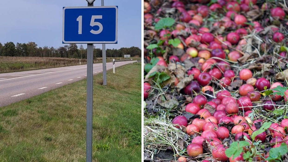 Varning för vilt efter fruktdump vid riksväg