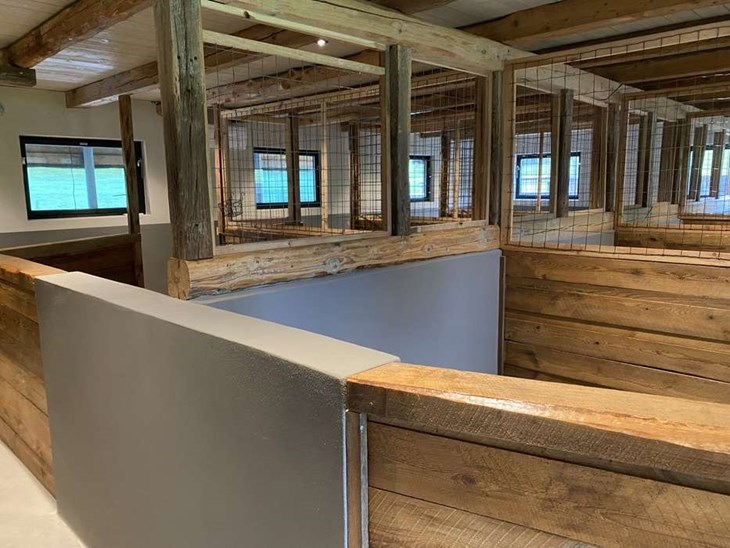 Vailet och hennes man Mats valde att sluta med nötdjursuppfödning för ett par år sedan. Nu har stallet byggts om,  med återbrukat virke, till ett hunddagis. Foto: Carina Nilsson