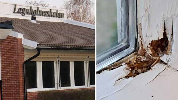 Mögel upptäckt på Lagaholmsskolan