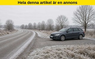 Snart kommer snön igen till allas stora förvåning