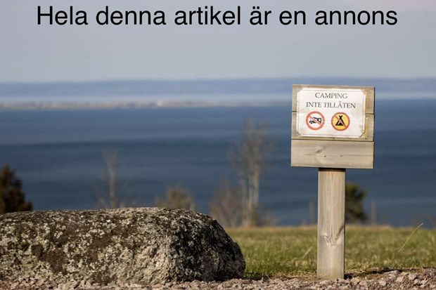 Varför älskar vi att bryta mot regler? Vetenskapen bakom vår rebelliska sida Varför älskar vi att bryta mot regler? Vetenskapen bakom vår rebelliska sida