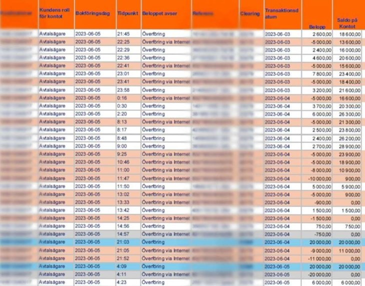 Över hundra sidor i förundersökningen består av kontoutdrag. Skärmdump förundersökningen.